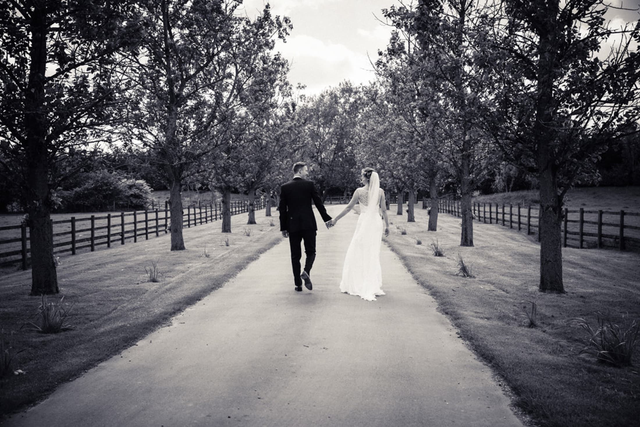 Field & Light — a couple on a tree-lined avenue, black and white